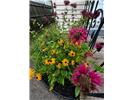 130 20th Avenue N, St Cloud MN